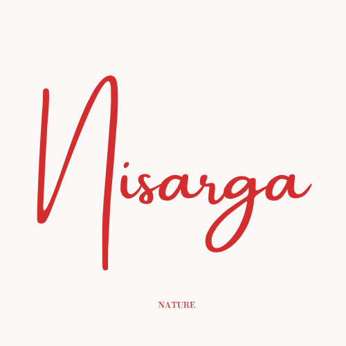 nisargan.com